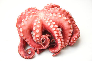 Pulpo Roseta Crudo 1kg app