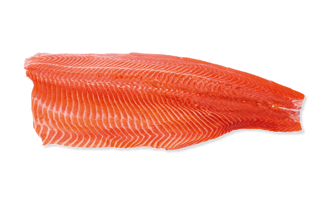 Filete de trucha sin piel Premium 700-800 gr